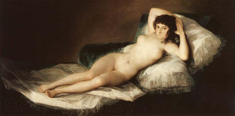 Francisco Goya The Naked Maja Spain oil painting art